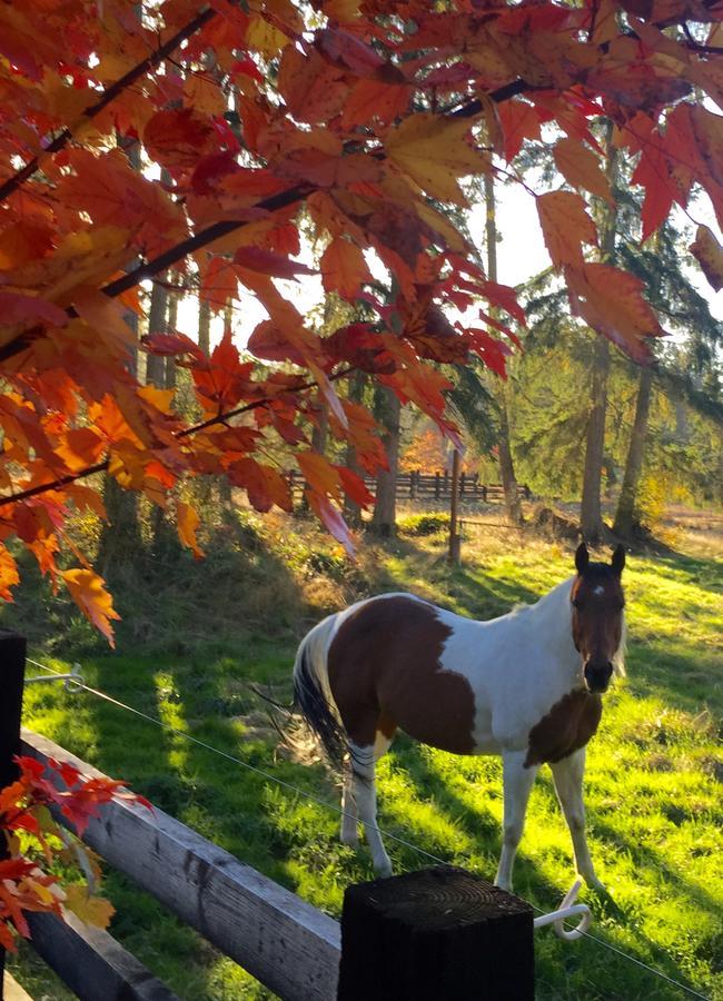 Guest house Bond Ranch Retreat King Hill